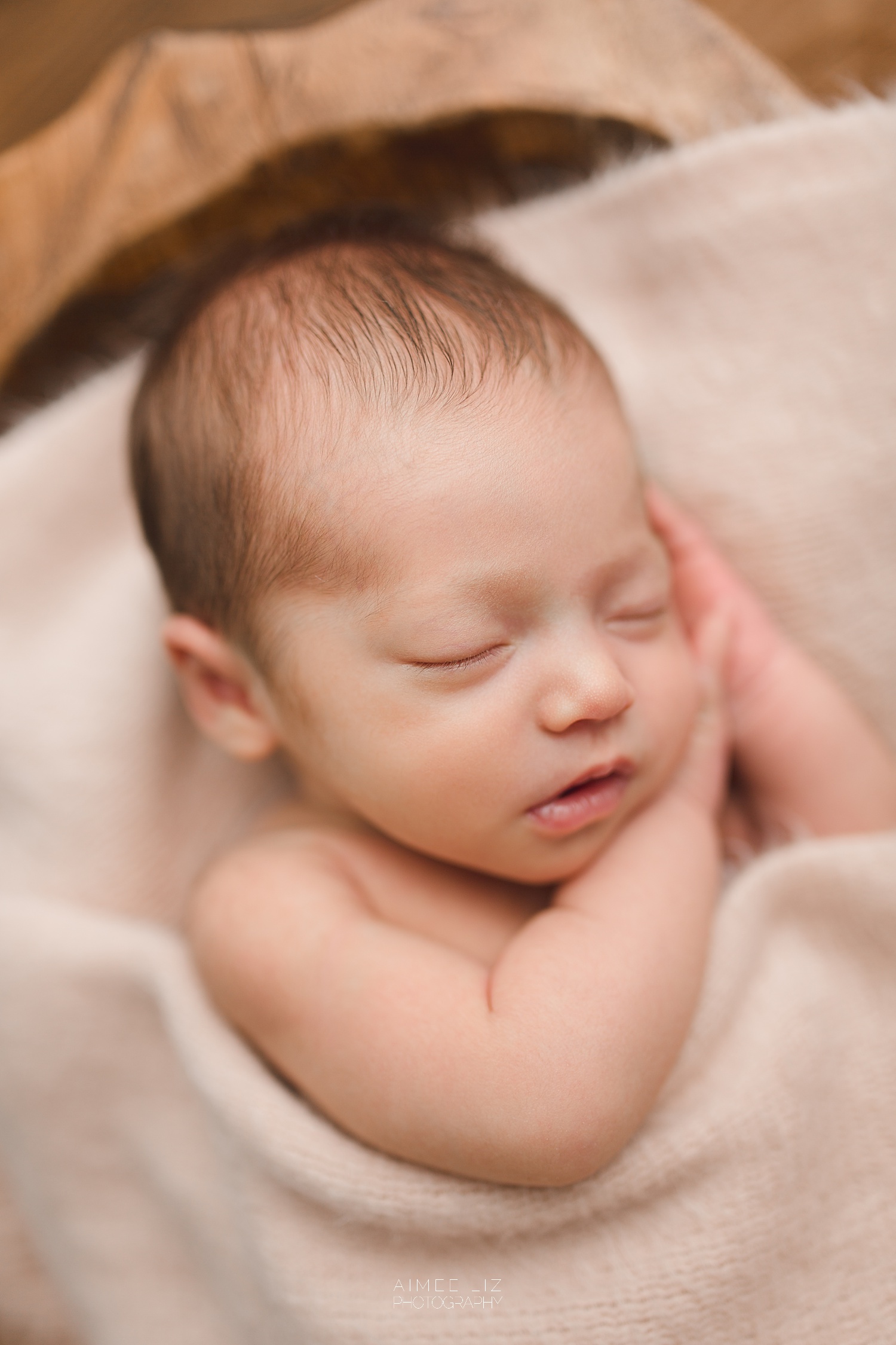 massachusetts newborn photographer