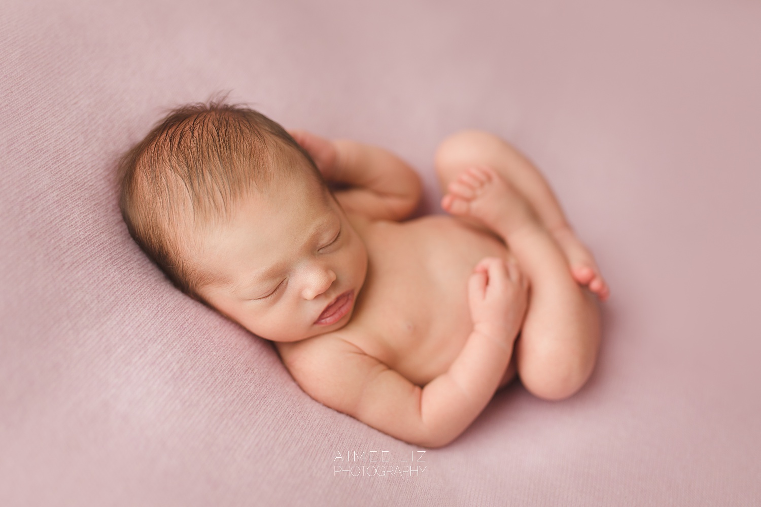 massachusetts newborn photographer