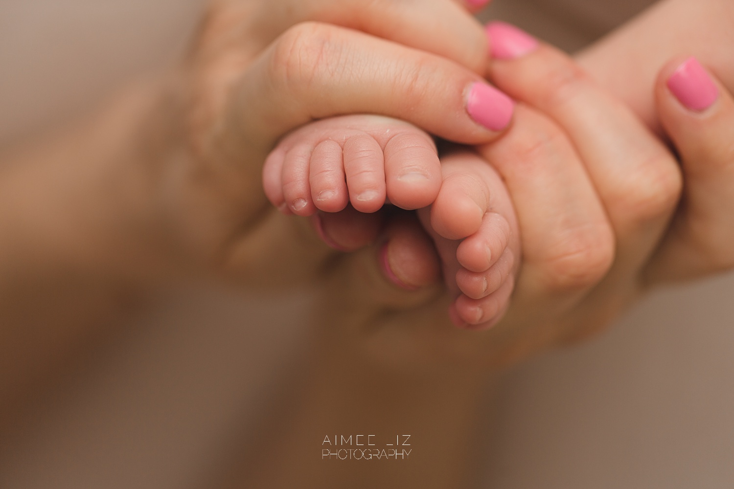 massachusetts newborn photographer