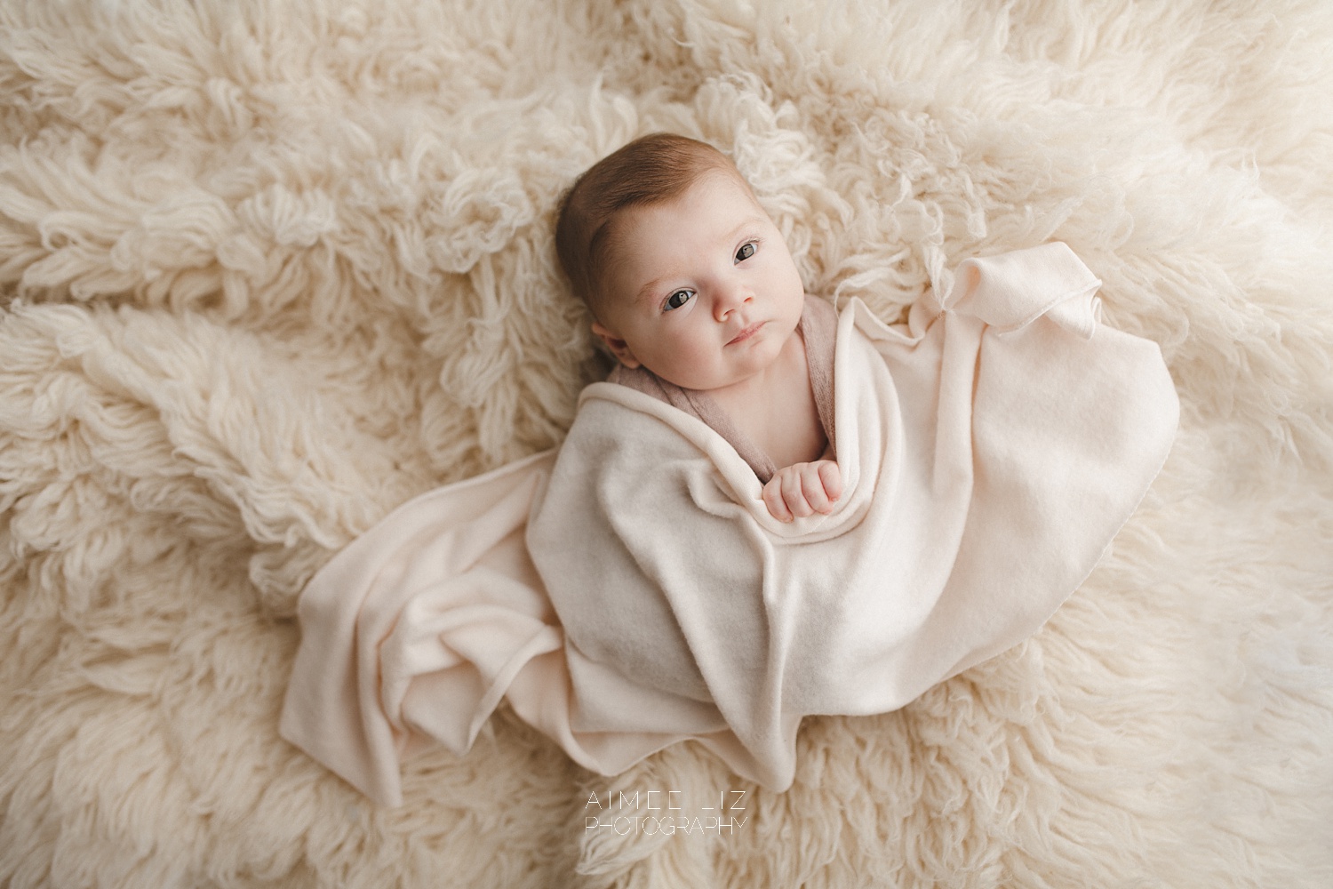 massachusetts newborn photographer