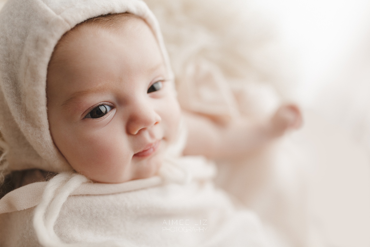 massachusetts newborn photographer