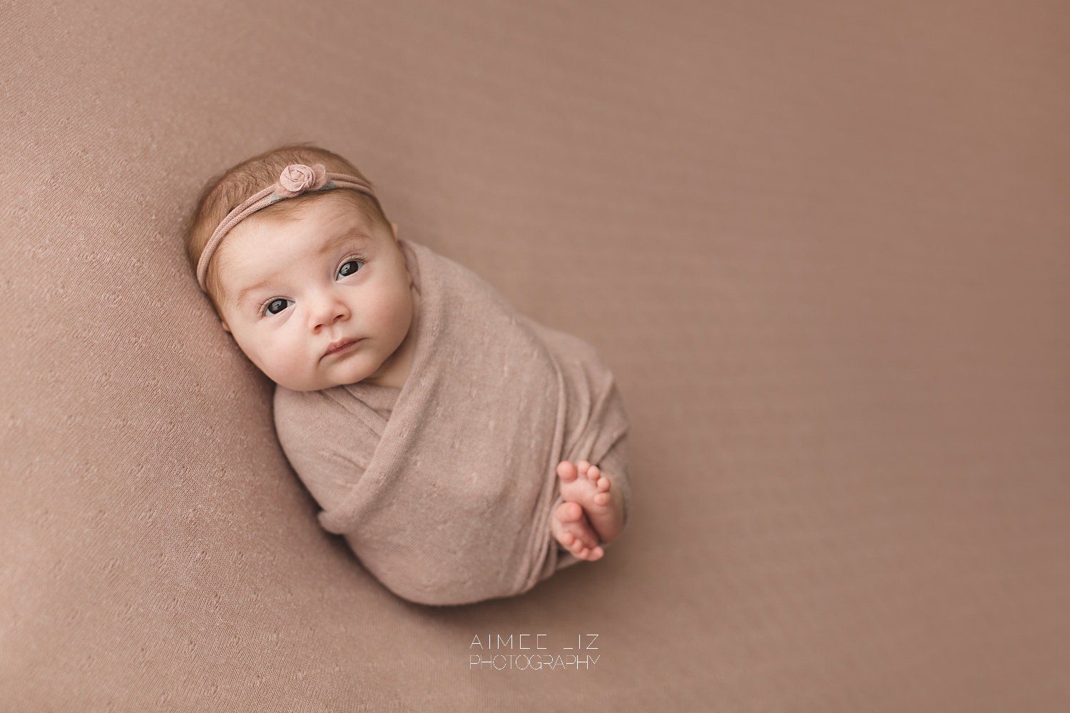 massachusetts newborn photographer