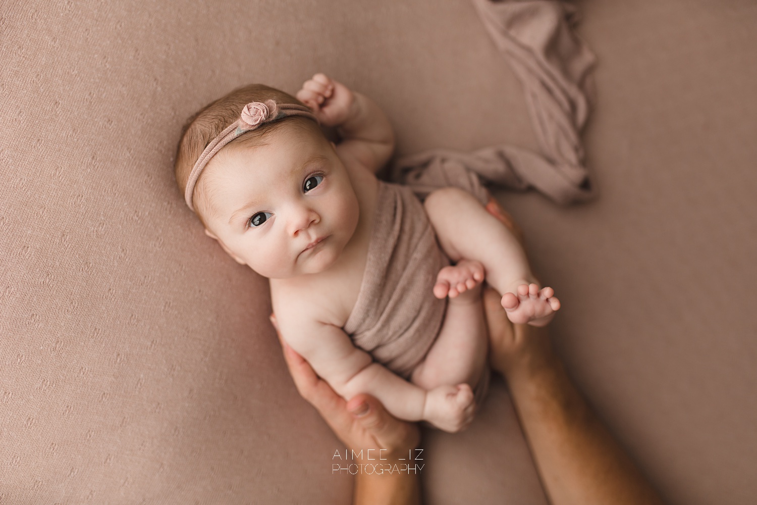 massachusetts newborn photographer