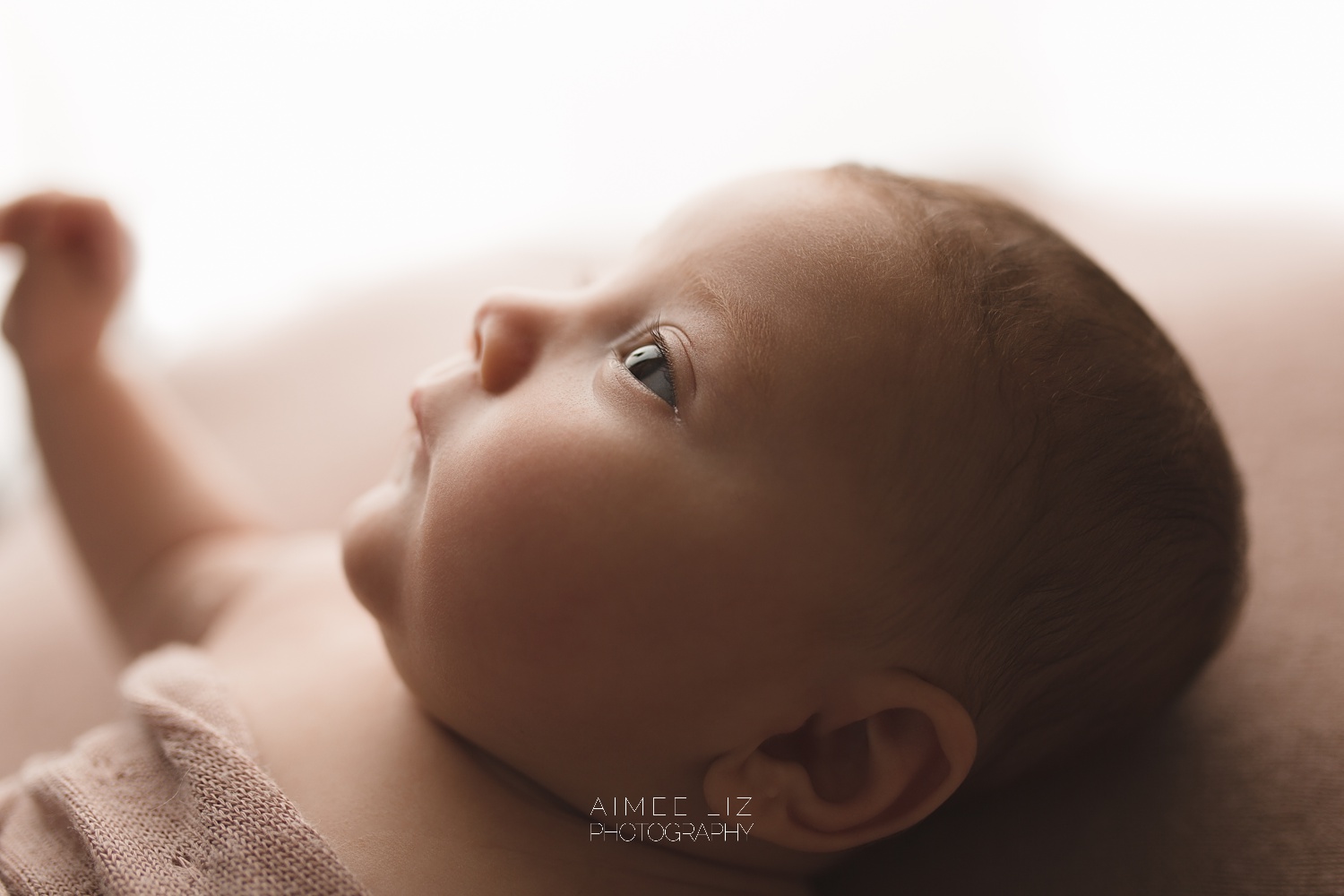 massachusetts newborn photographer