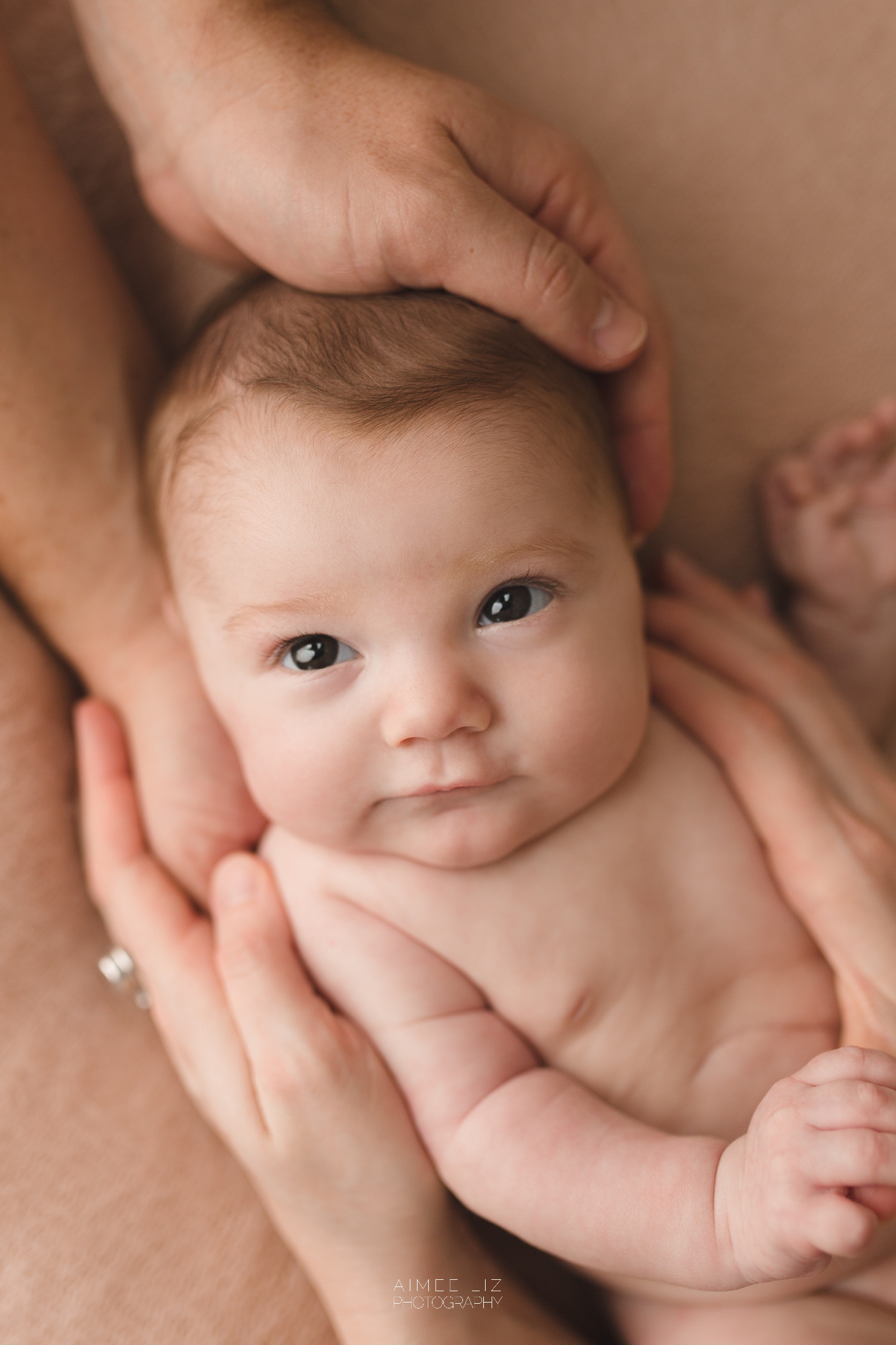 massachusetts newborn photographer