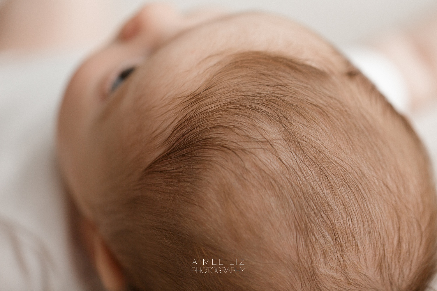 massachusetts newborn photographer