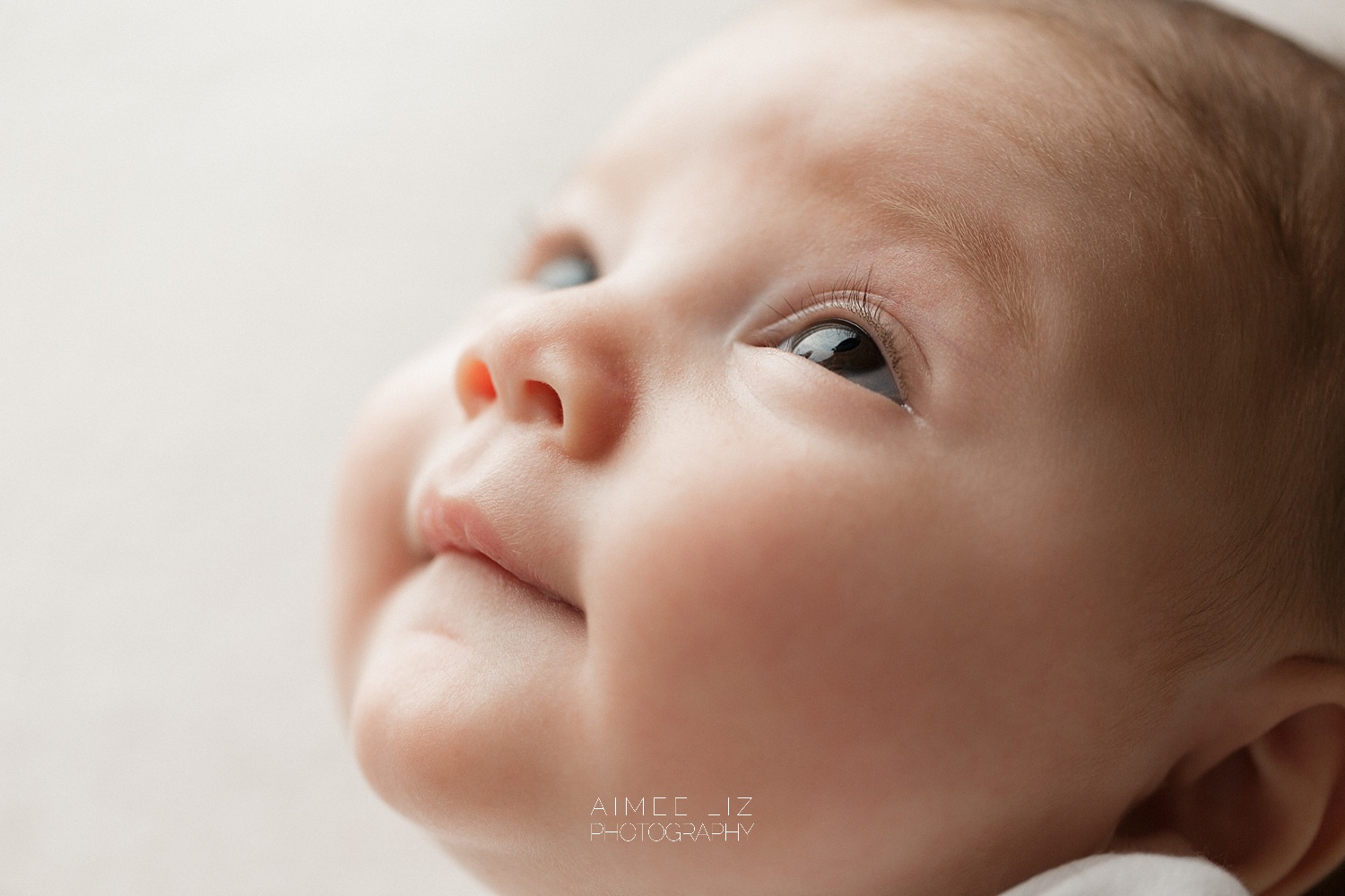 massachusetts newborn photographer