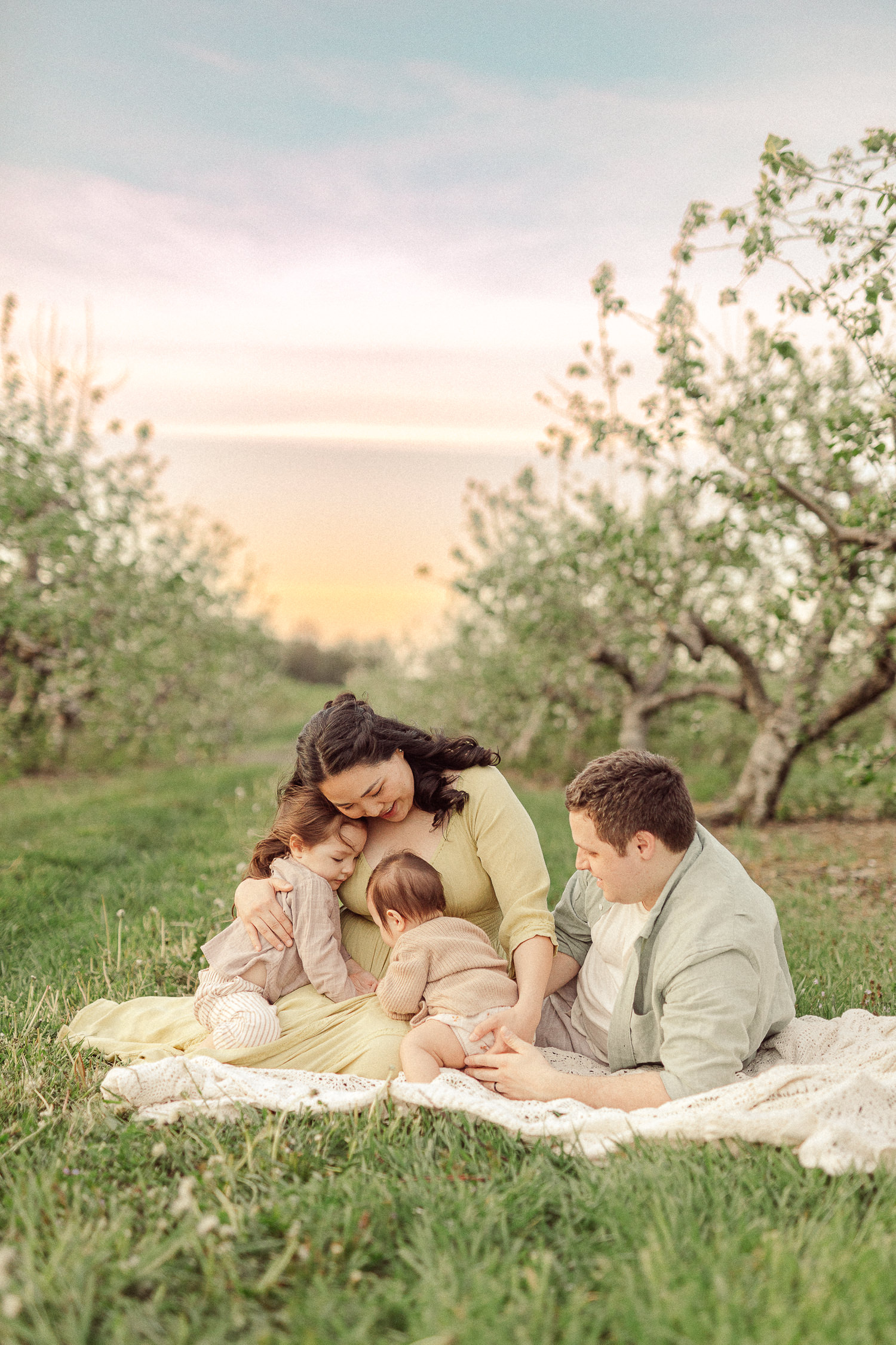 massachusetts apple orchard family photographer