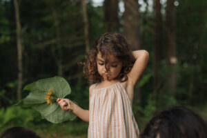 nature family photographer massachusetts