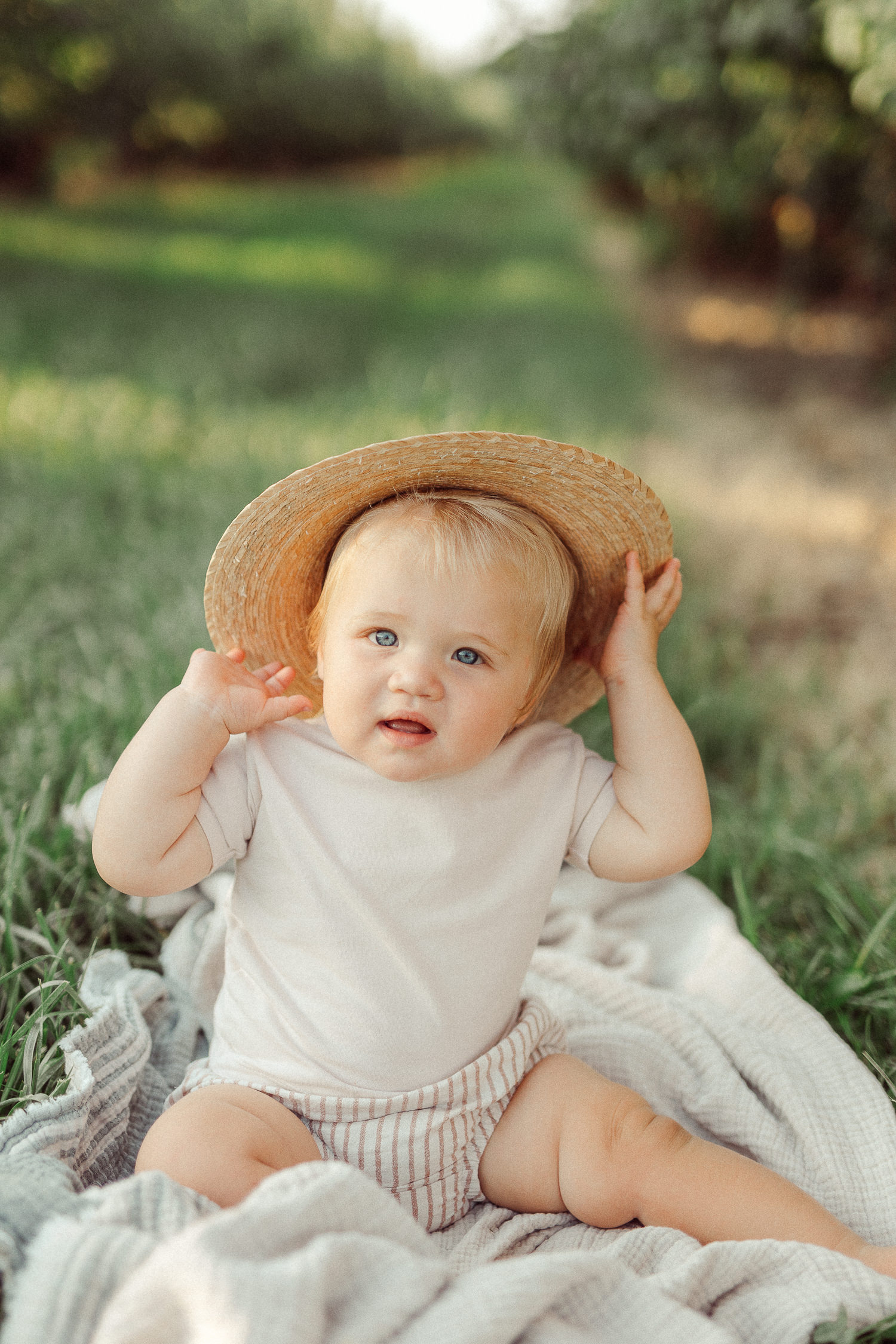 apple orchard family photos