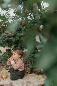 apple orchard family photos