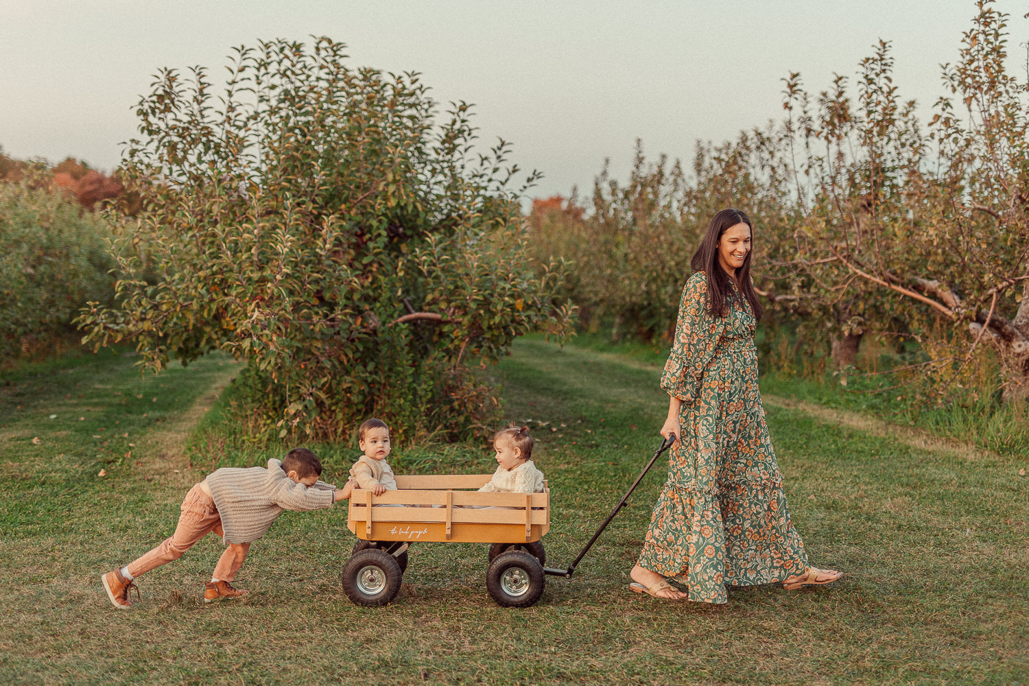 apple picking family photos with twins