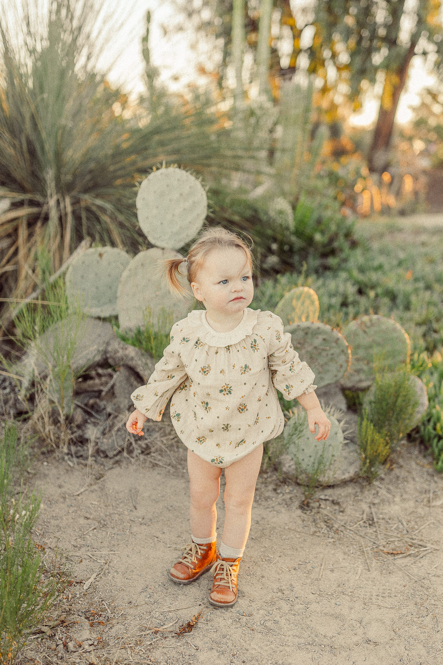california travel family photographer