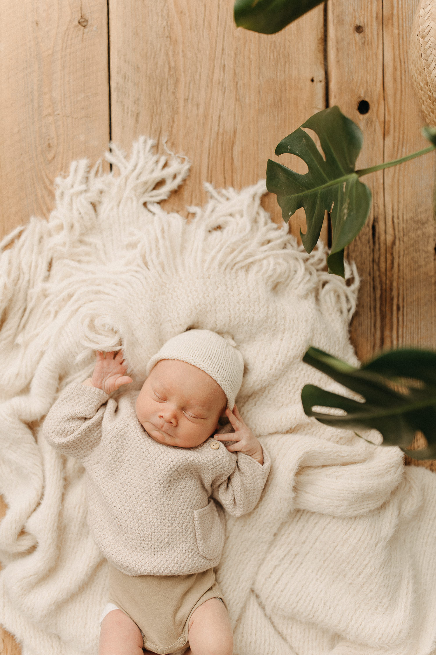 boston newborn photographer