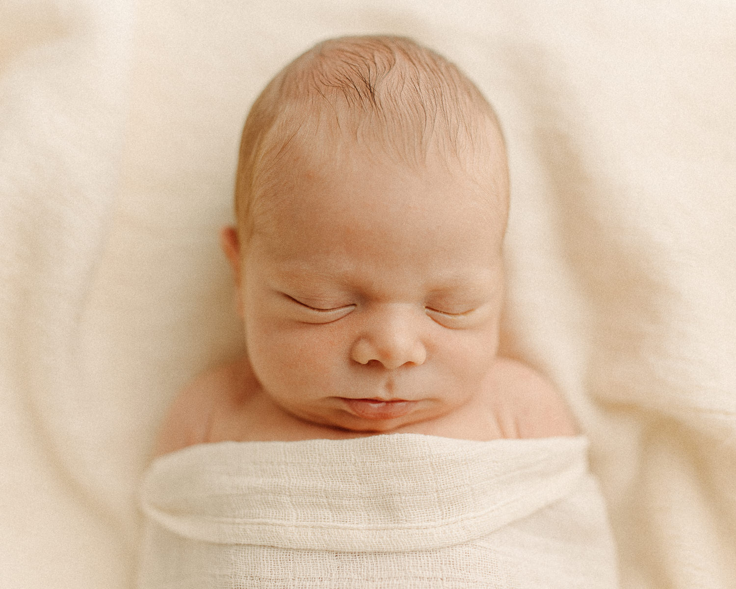 candid newborn photographer studio in massachusetts