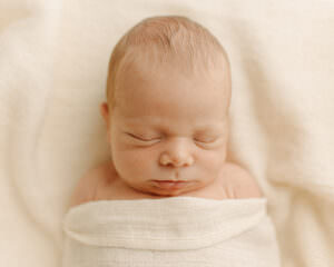 worcester newborn photographer