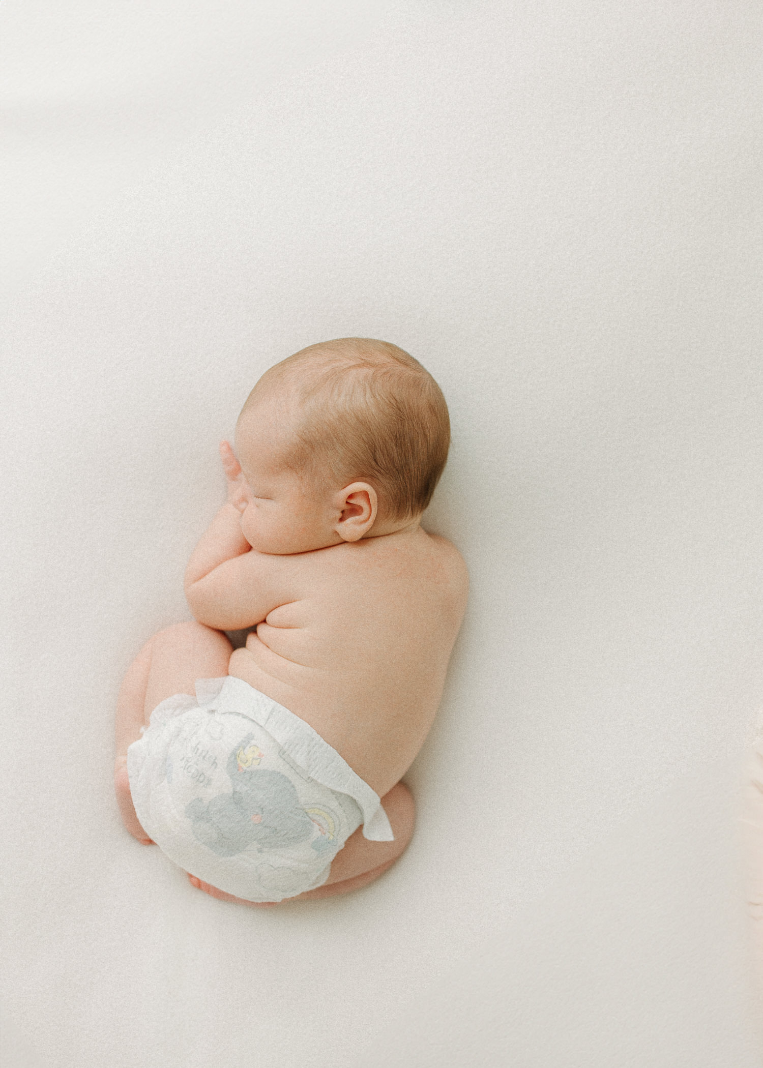 natural newborn images in studio