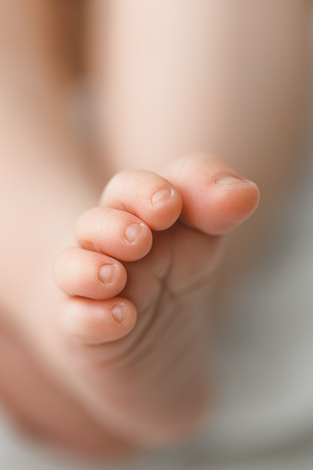 newborn photographer that gets little details
