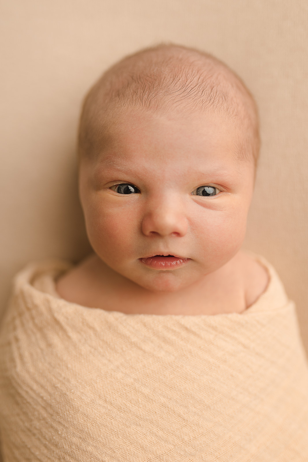 newborn photography