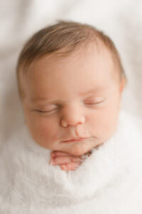 studio newborn photographer in massachusetts