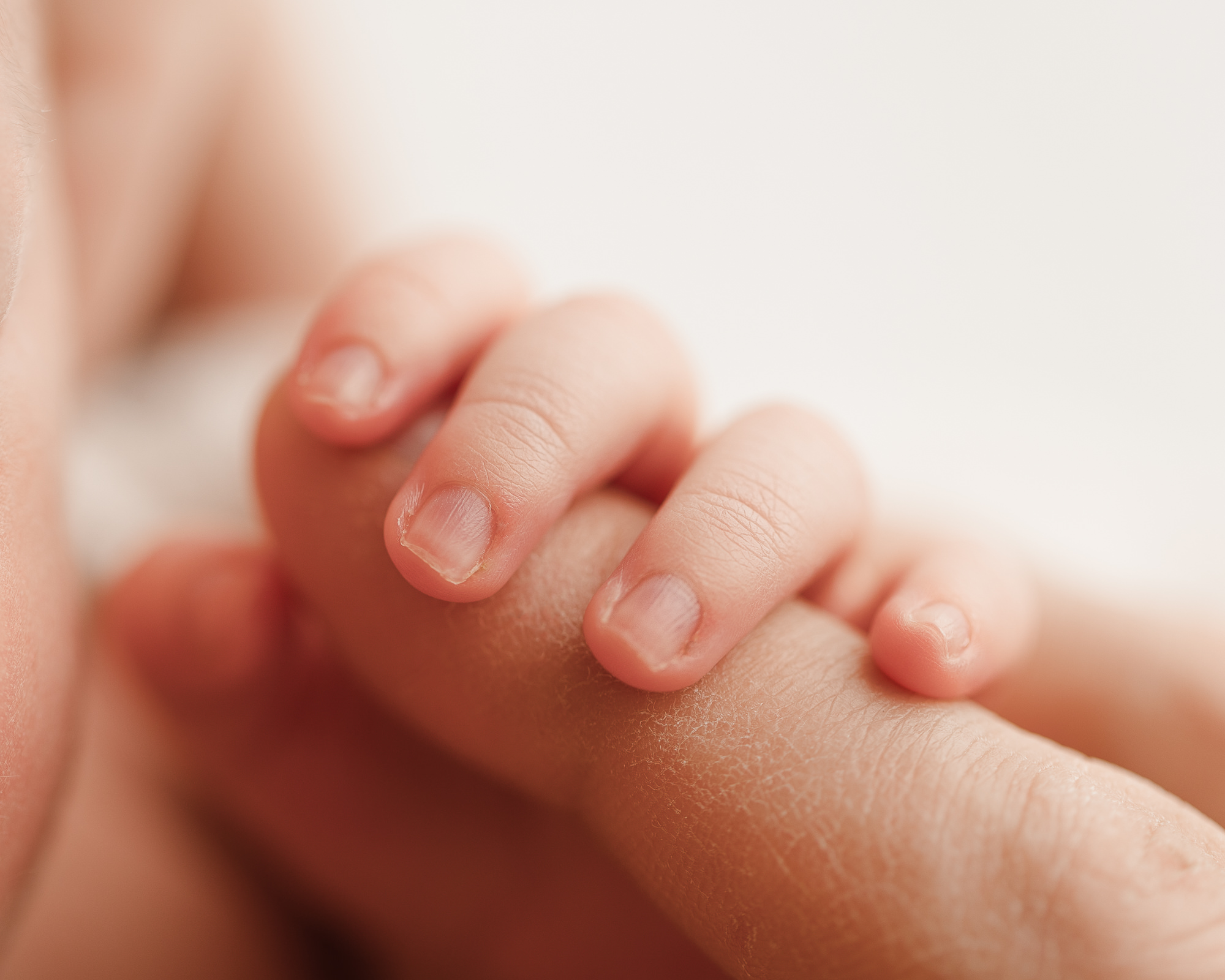 lifestyle newborn photos in massachusetts studio