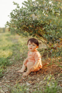 massachusetts blueberry picking family photo session