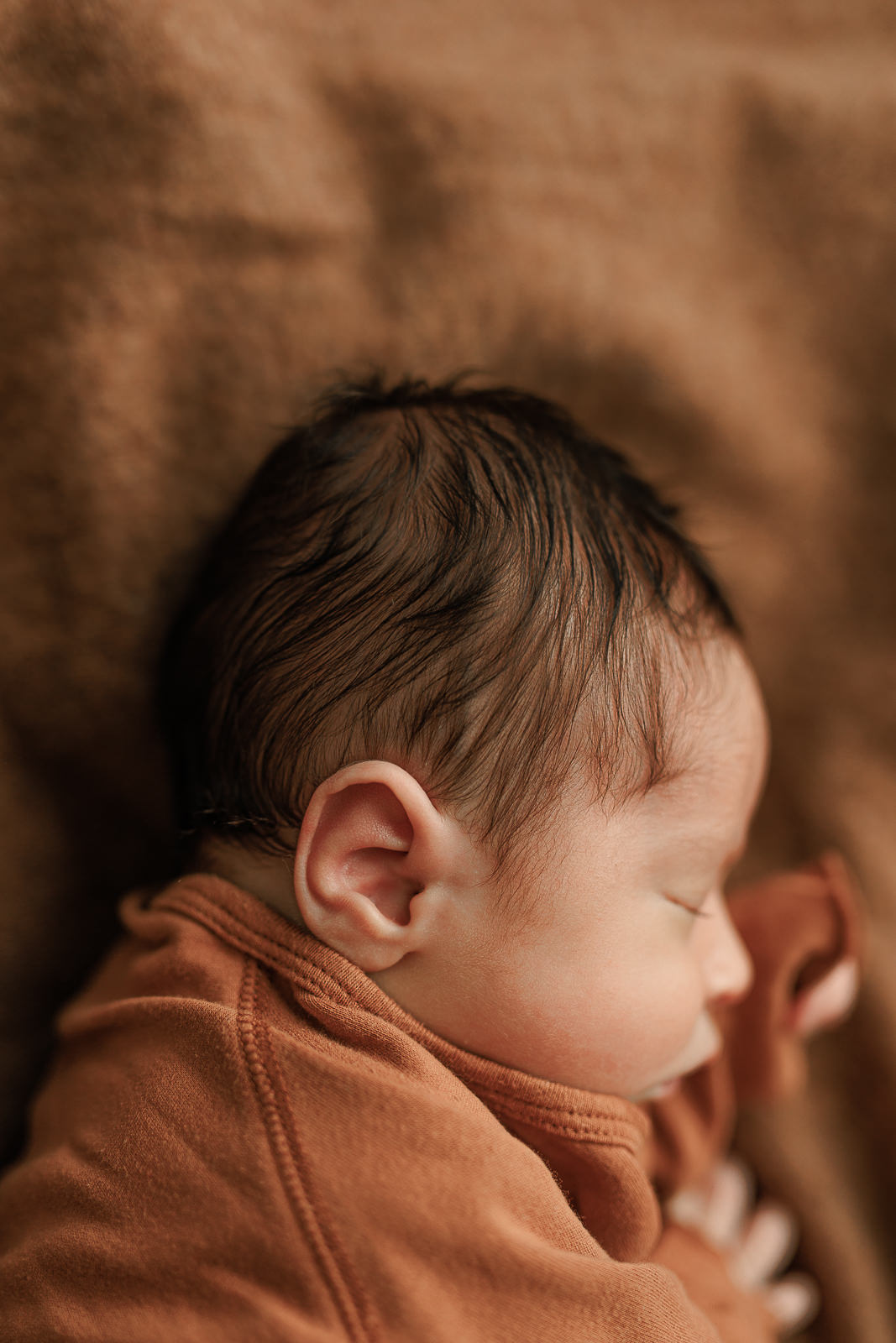 central massachusetts newborn photographer