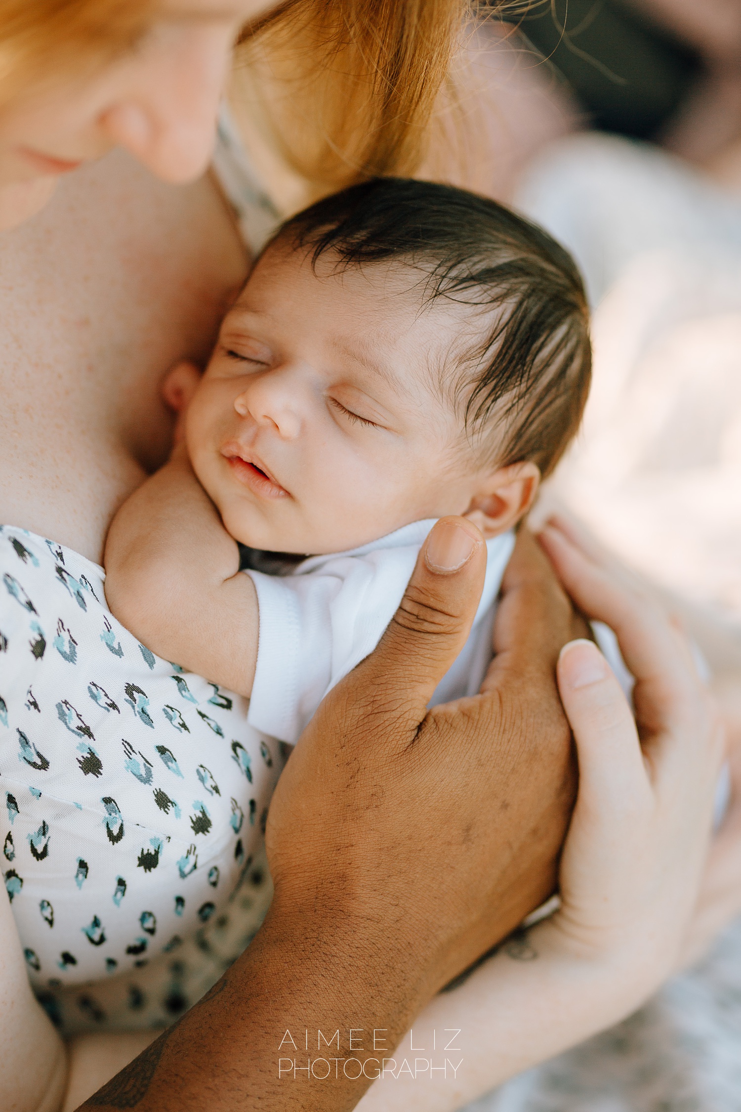 massachusetts lifestlye newborn photographer