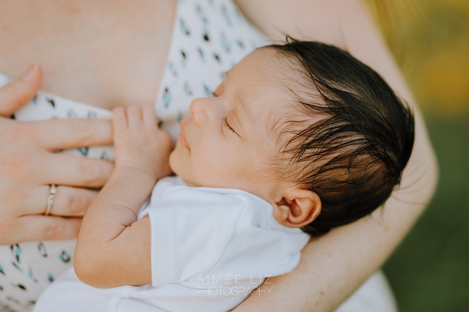 massachusetts lifestlye newborn photographer