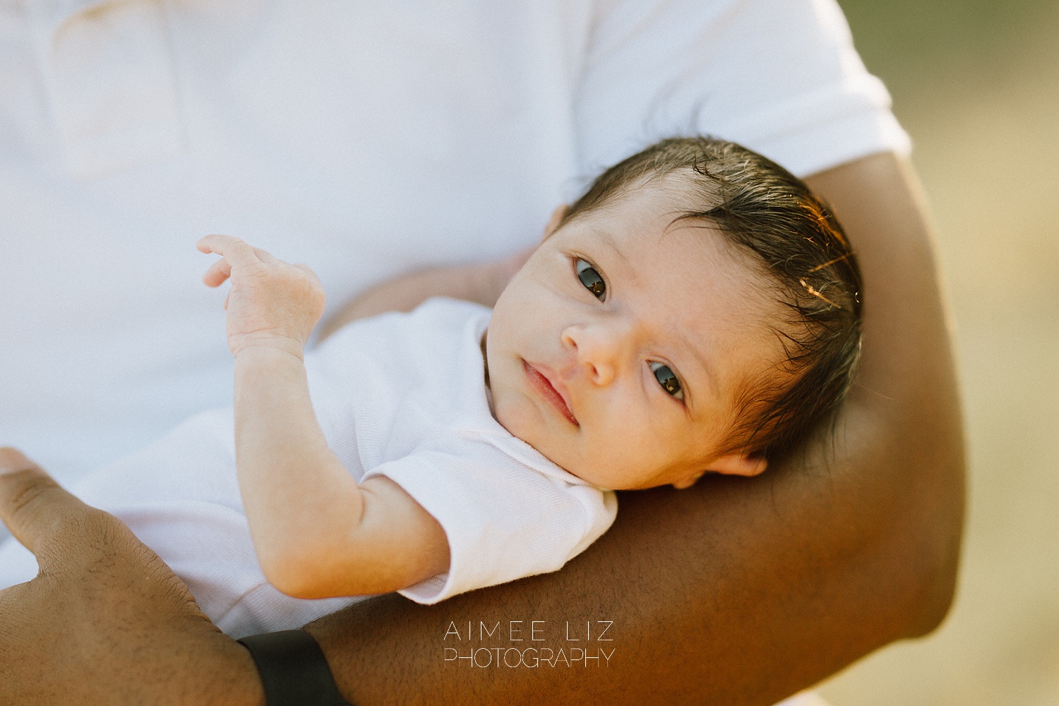 massachusetts lifestlye newborn photographer