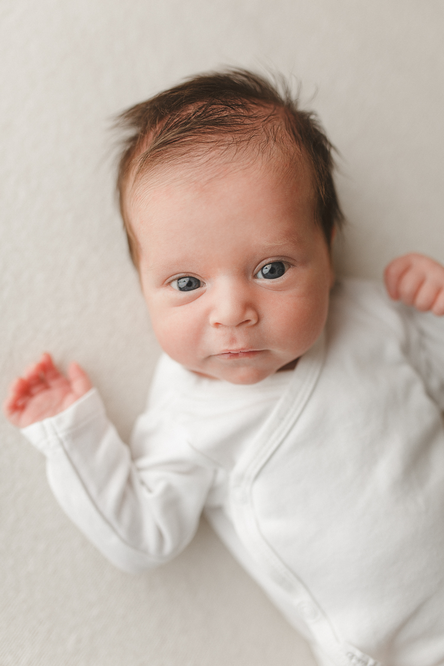 massachusetts newborn photographer
