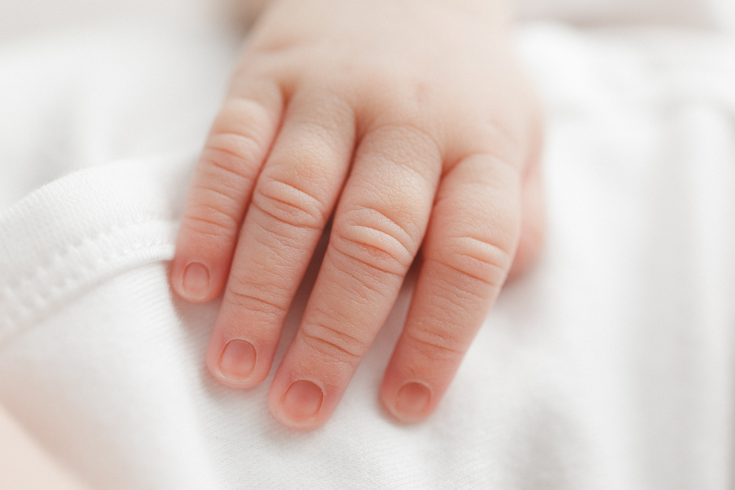 massachusetts newborn photographer