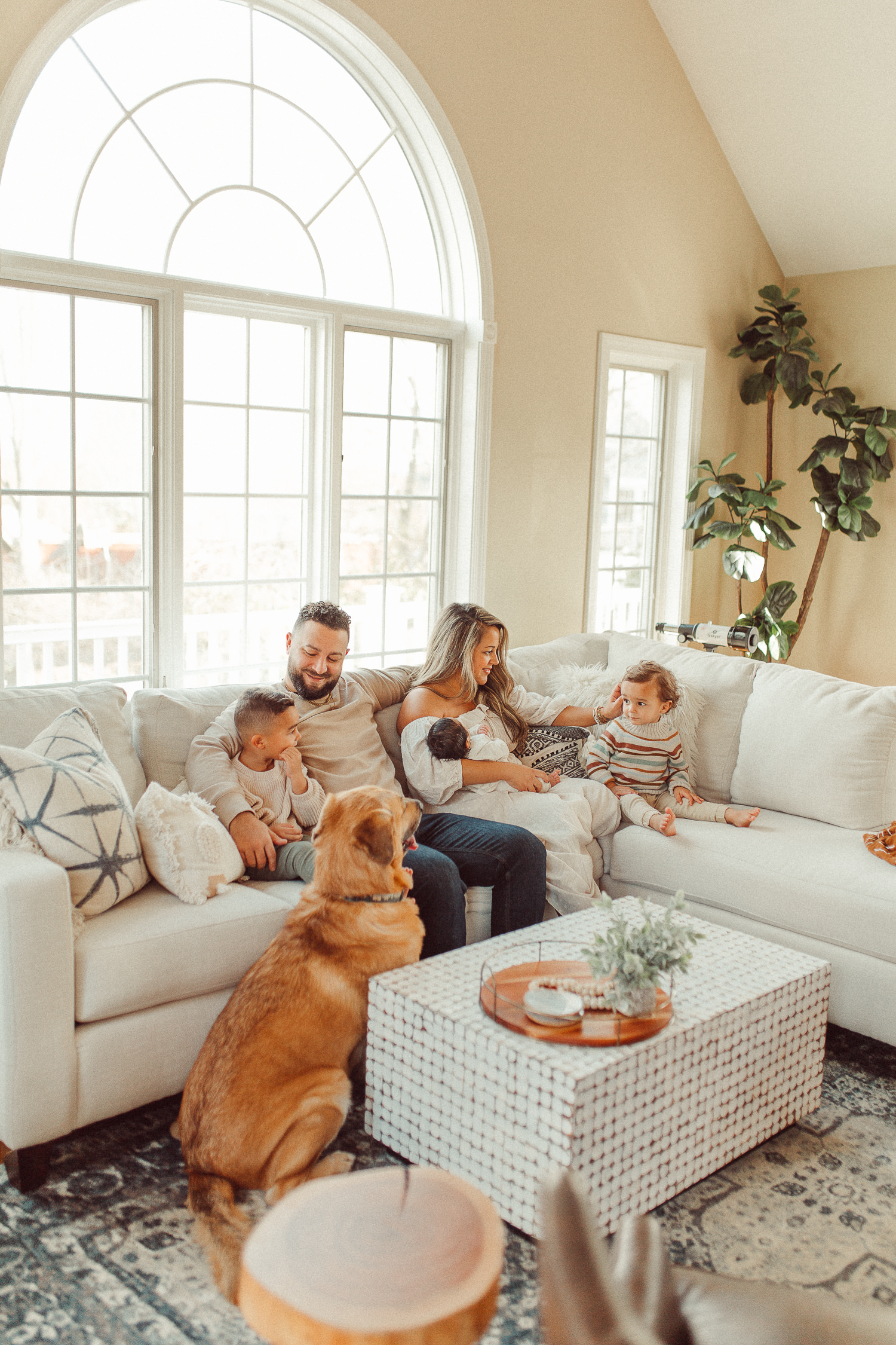 massachusetts lifestyle newborn photographer