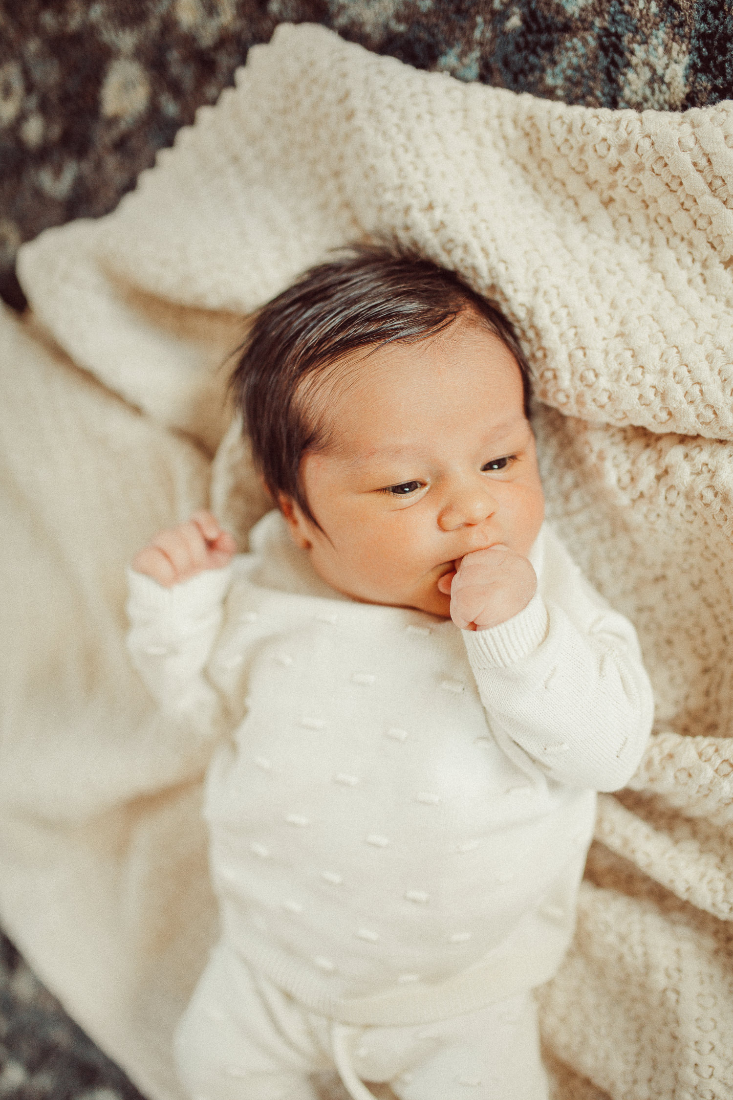 massachusetts lifestyle newborn photographer