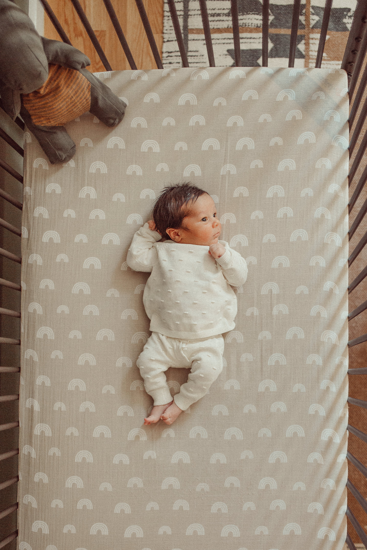 massachusetts lifestyle newborn photographer