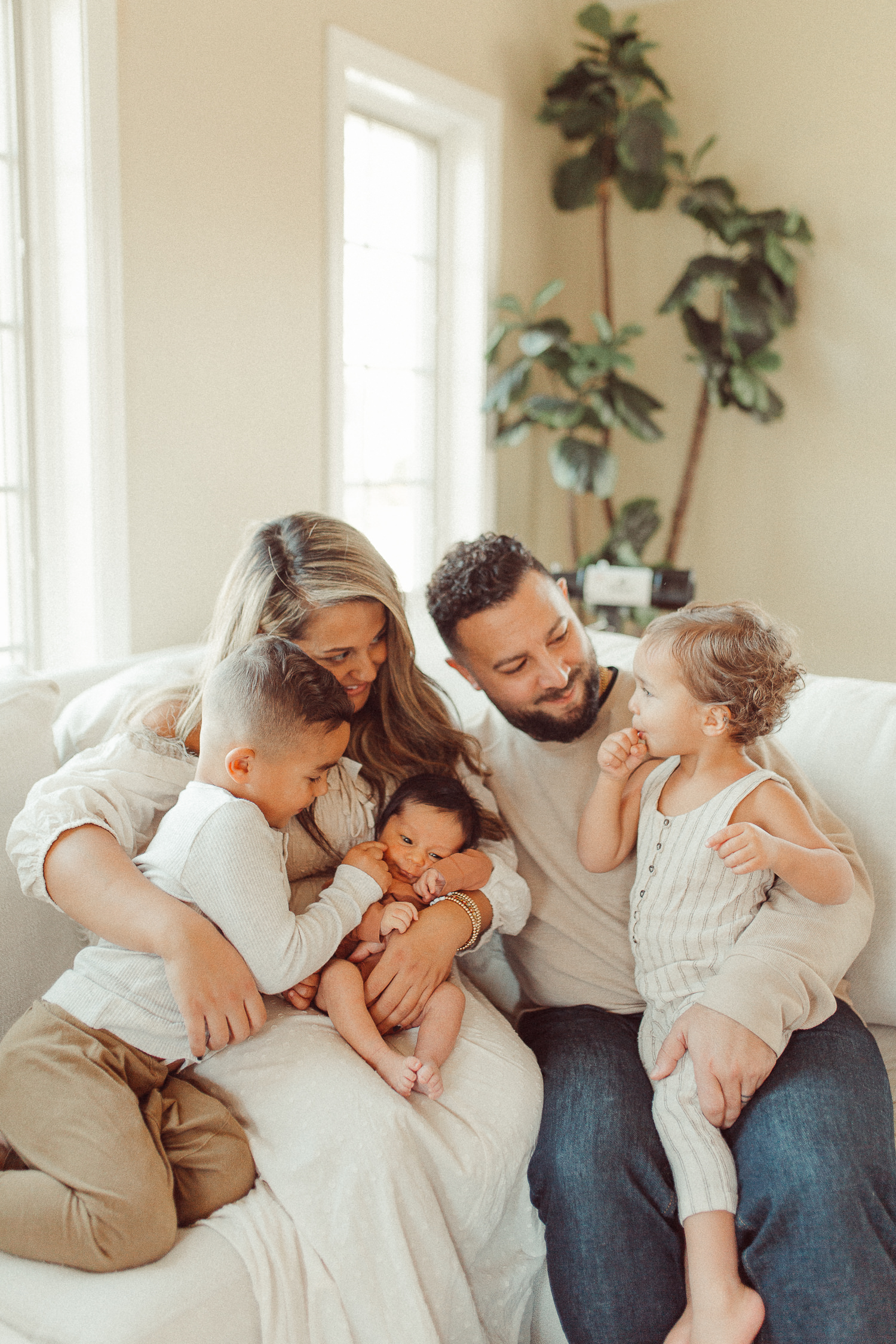 massachusetts lifestyle newborn photographer