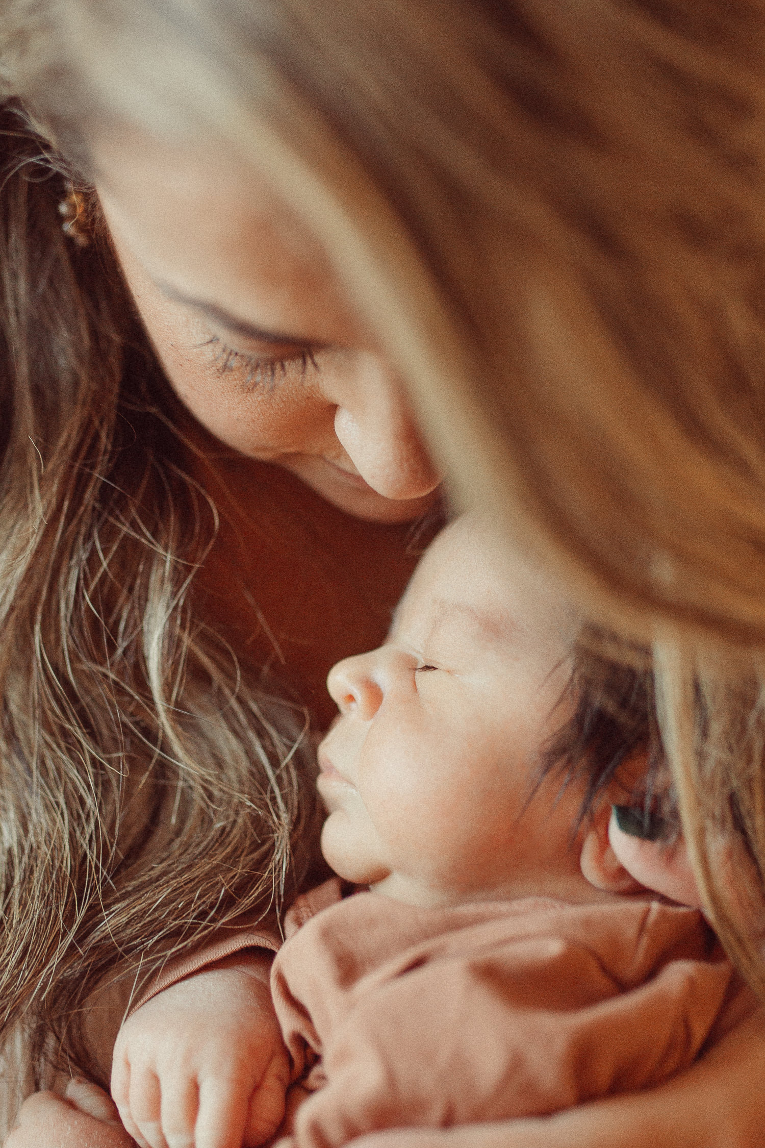 massachusetts lifestyle newborn photographer