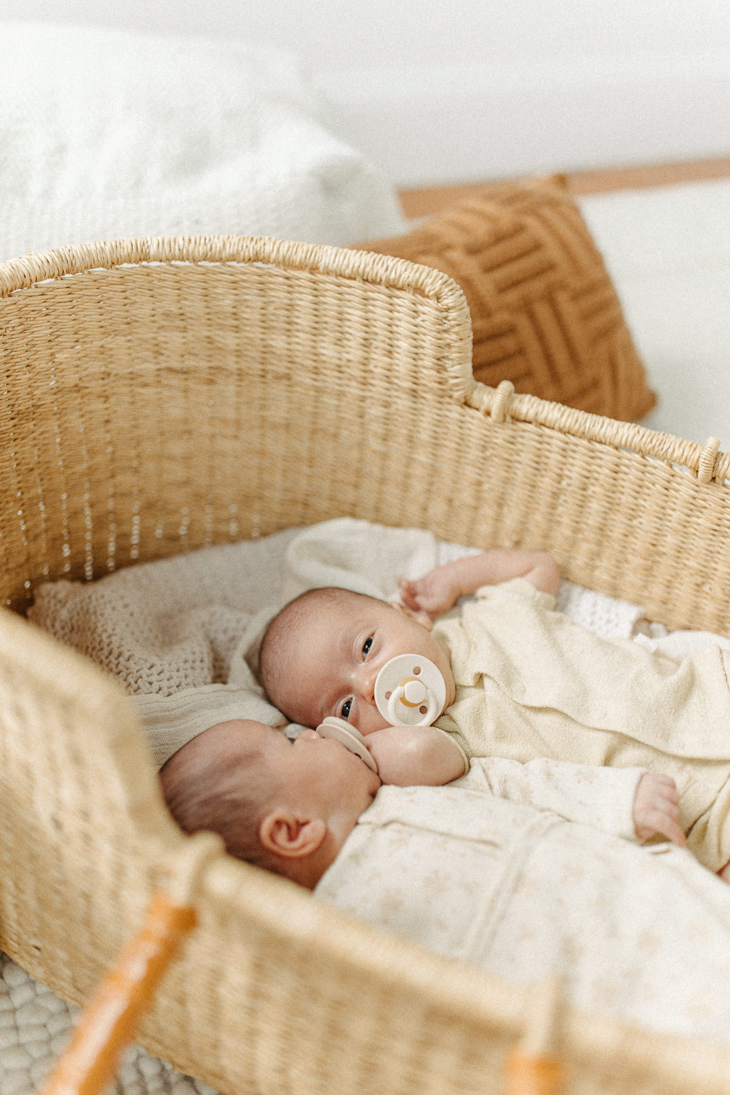 lifestyle twin newborn photographer massachusetts
