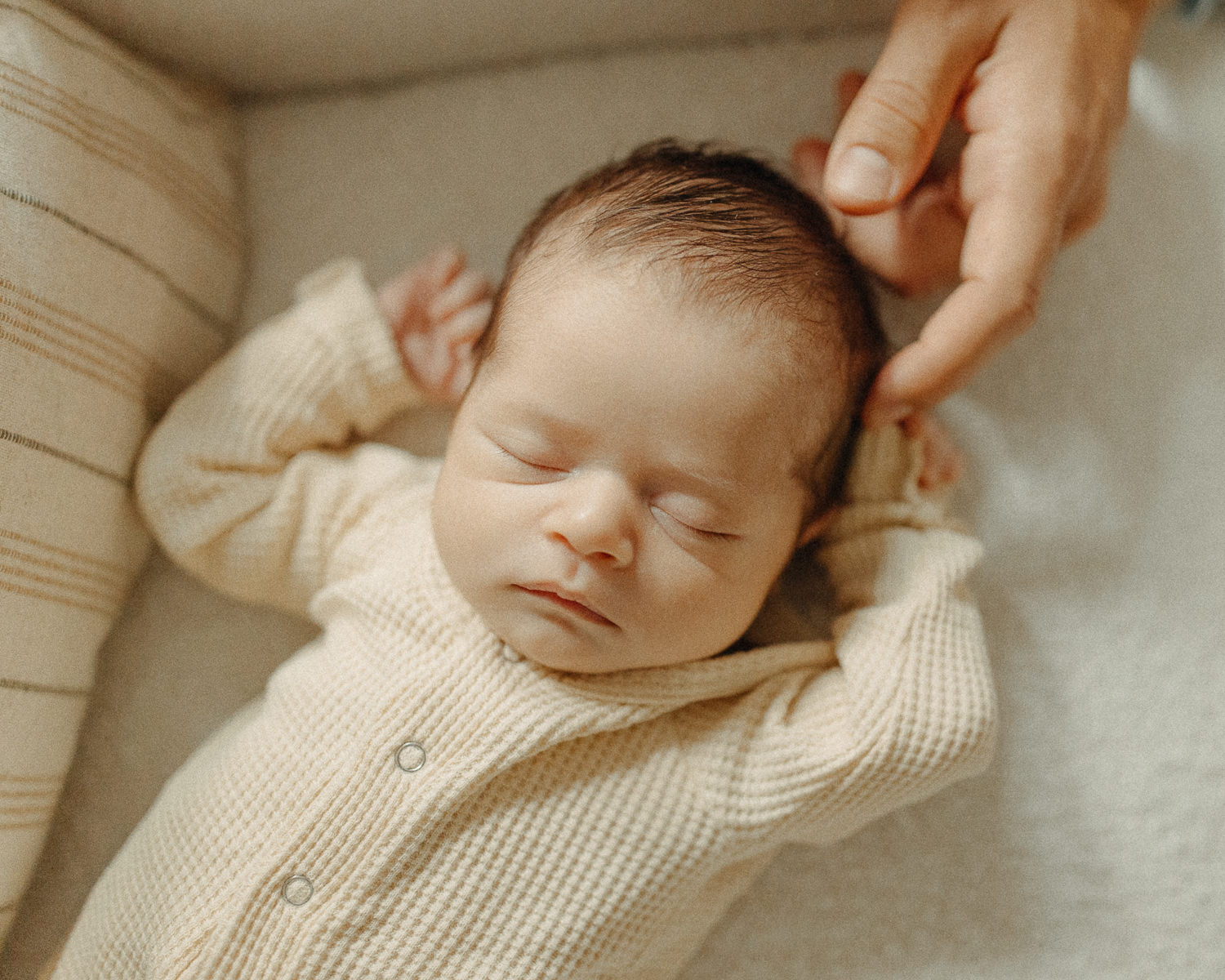 boston in-home newborn photographer