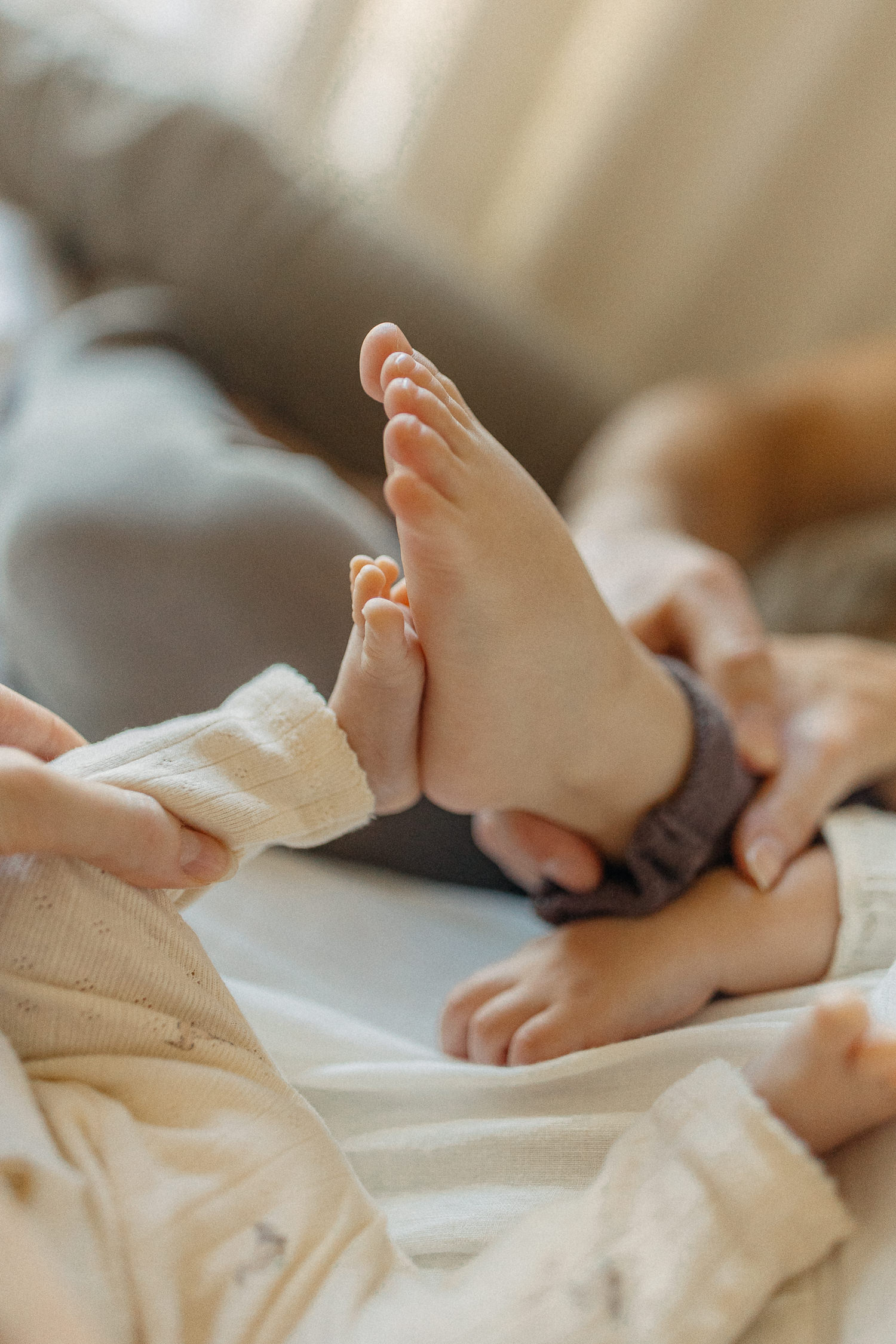 newborn photos with siblings