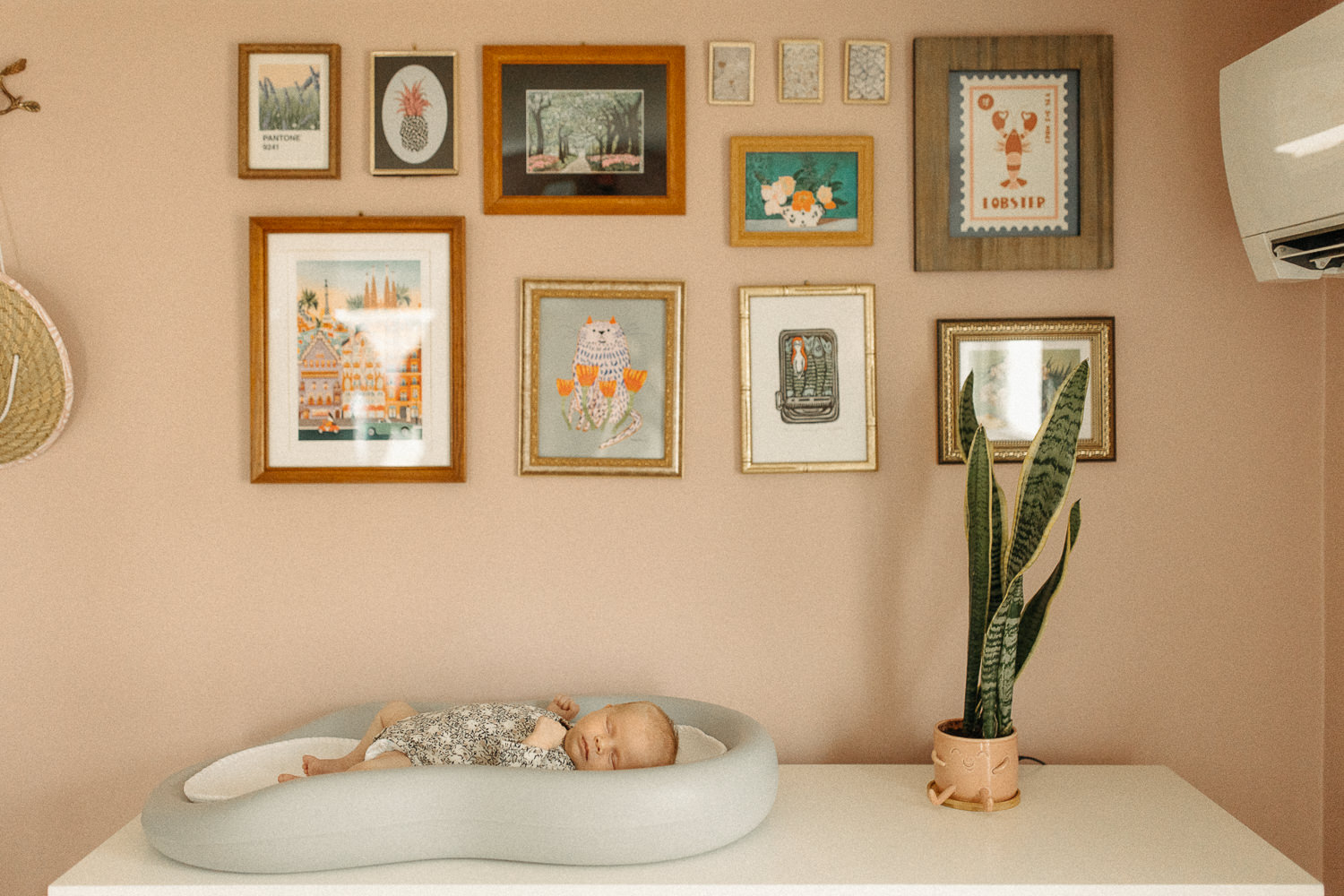 unique newborn photos at home