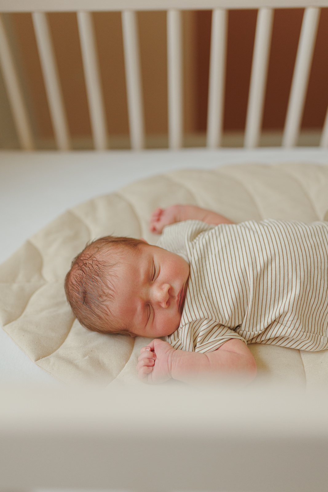 central massachusetts in-home newborn photographer