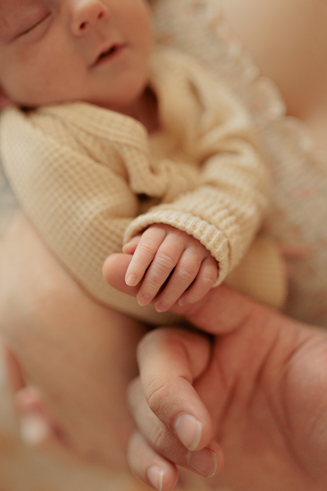 newborn photo session at home