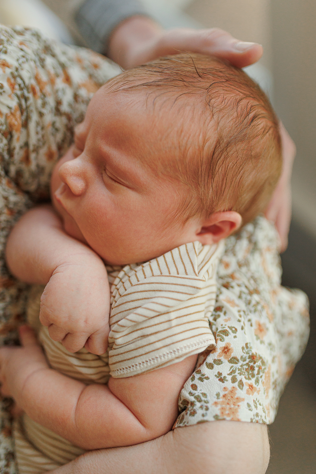 worcester newborn photographer