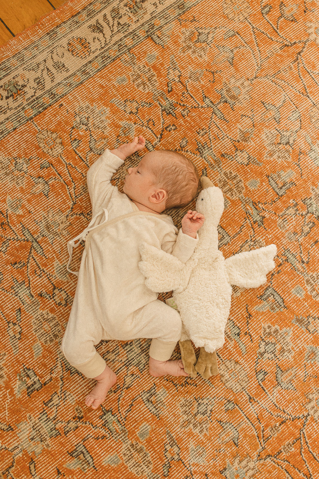 newborn photographer massachusetts