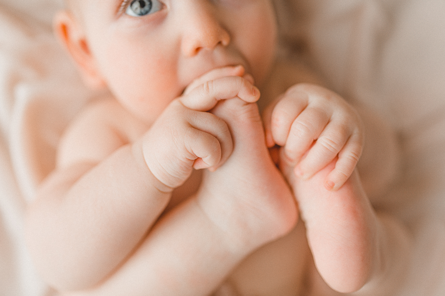 lancaster massachusetts baby photographer