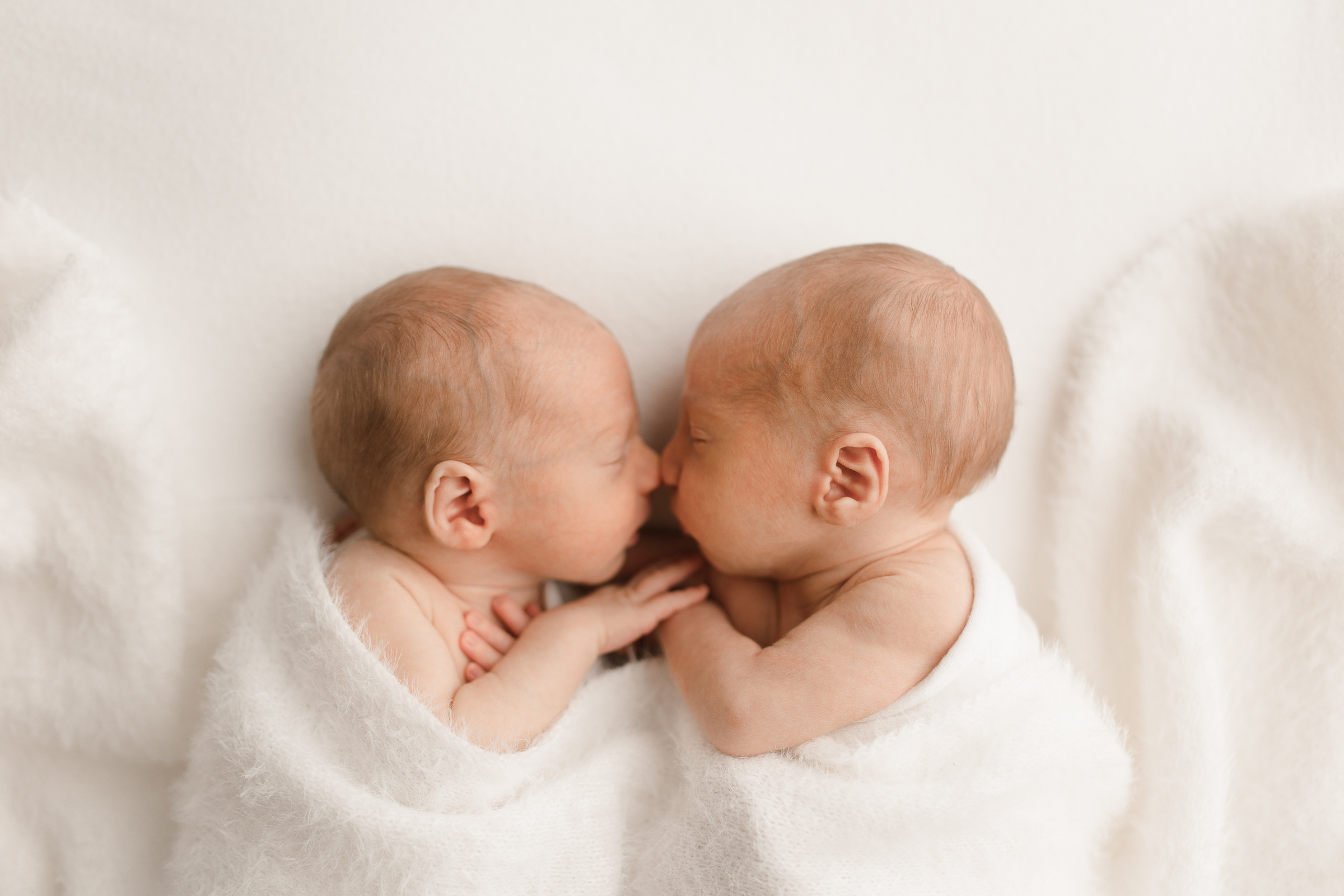 massachusetts newborn photographer