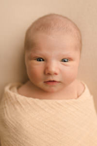 massachusetts newborn photographer