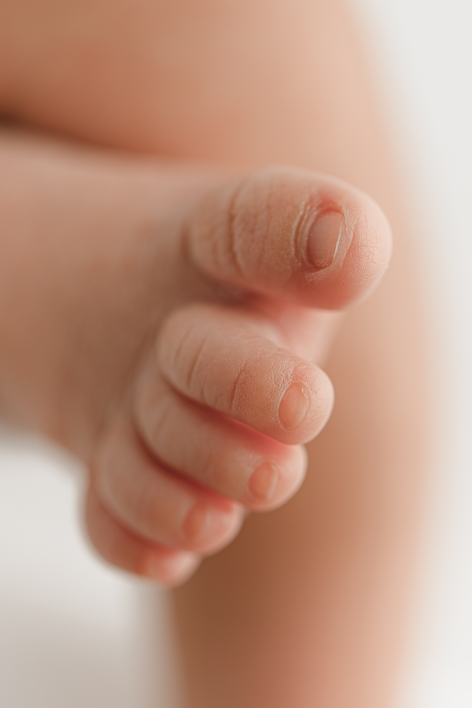 timeless newborn photography