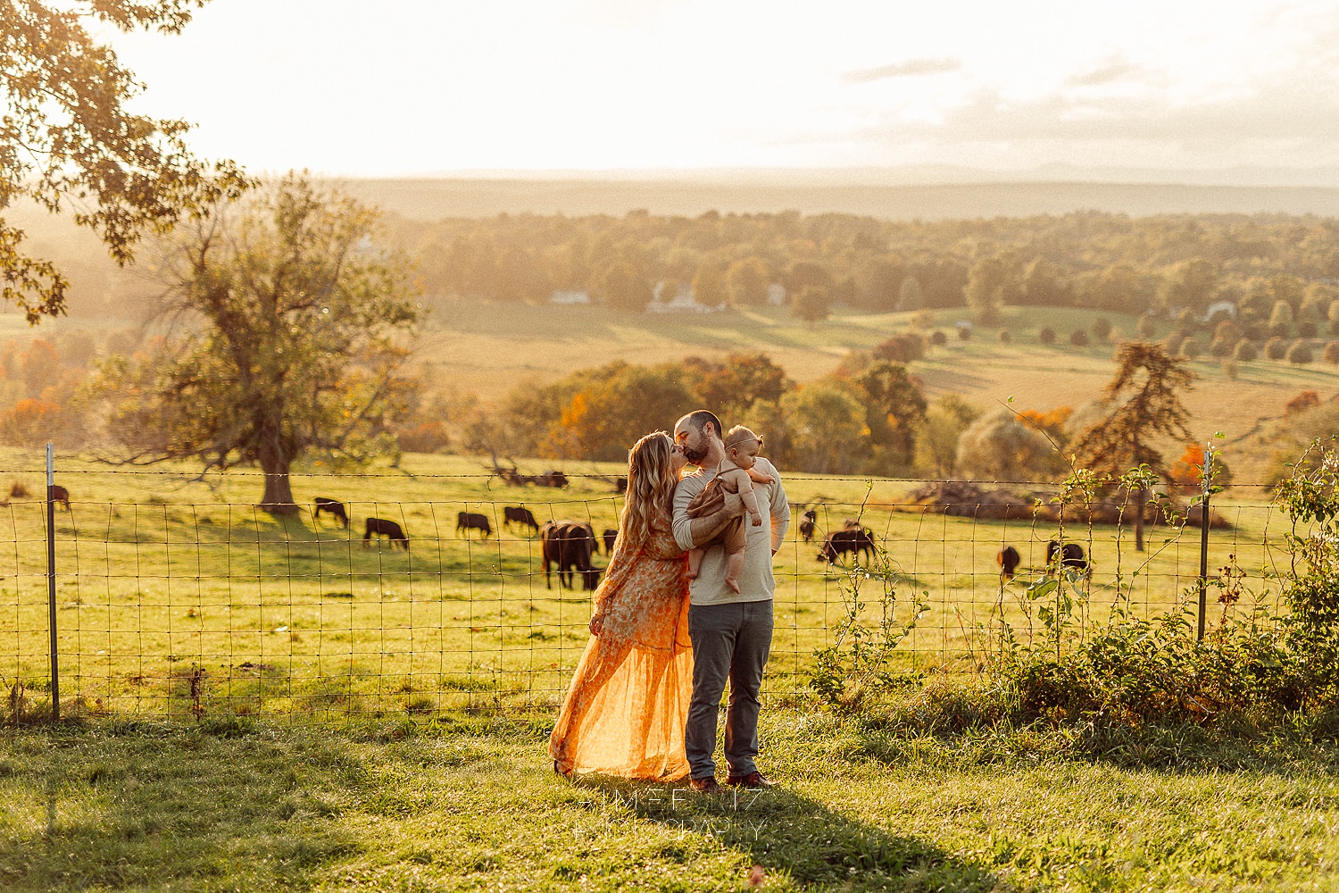 family photo session massachusetts